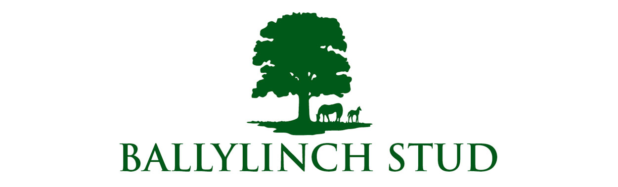 BALLYLINCH STUD