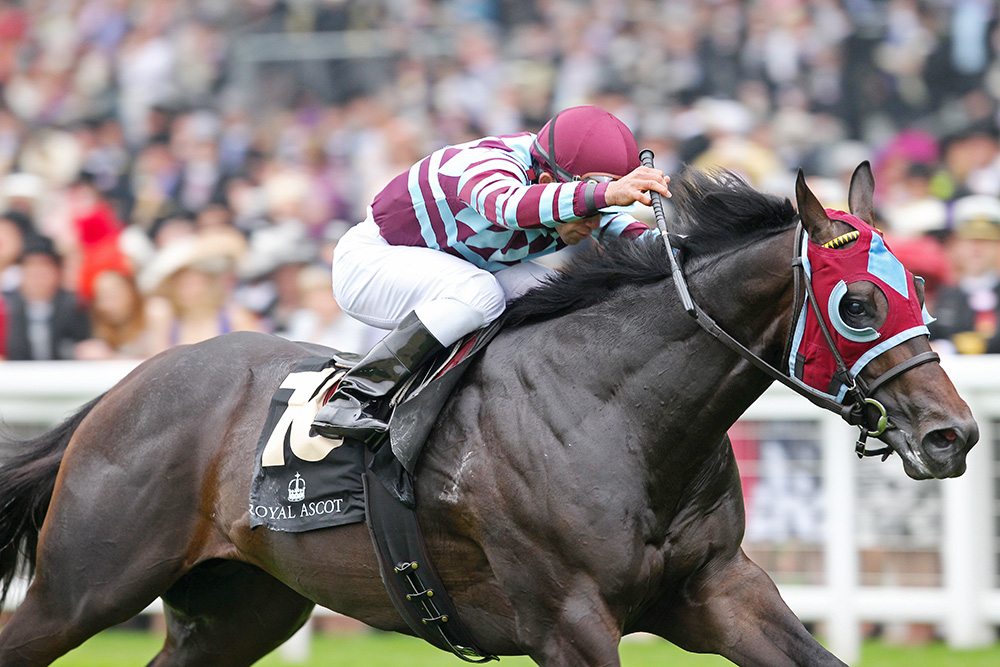 No Nay Never, winner of the Prix Morny and Norfolk Stakes, was the standout in the middle market.