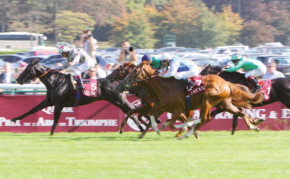 Dabirsim, seen here winning the Gr.1 Prix Jean-Luc Lagardère as a 2yo, is an interesting sire, as he comes from the Sunday Silence line which is rare in Europe.