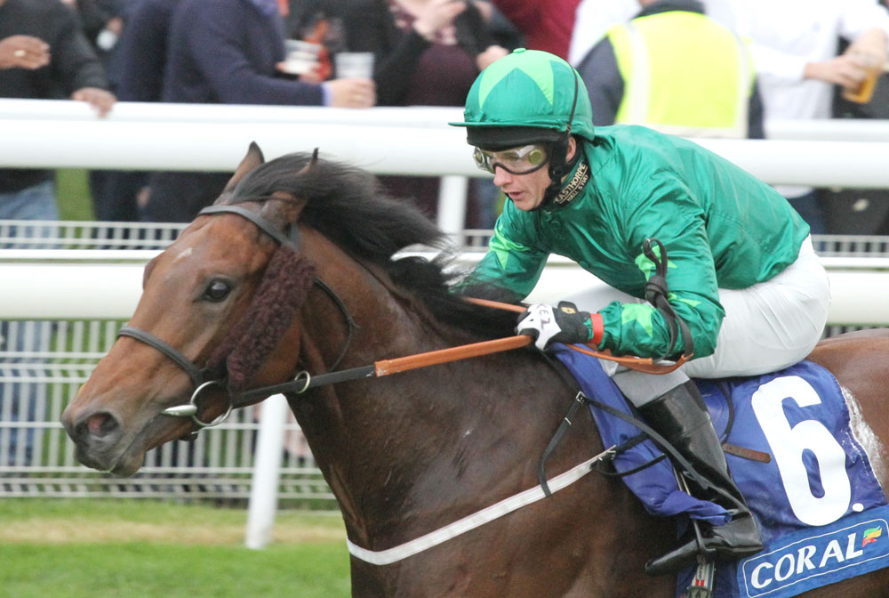 Mattmu, who stands at Bearstone Stud, was an excellent two-year-old, winning the Group 2 Critérium de Maisons-Laffitte.