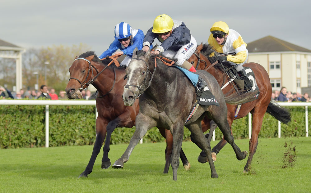 The highest qualifying sectional rating was achieved by Excelebration’s son, Speak In Colours, seen here beating another qualifier, Mutaaqeb, at Doncaster