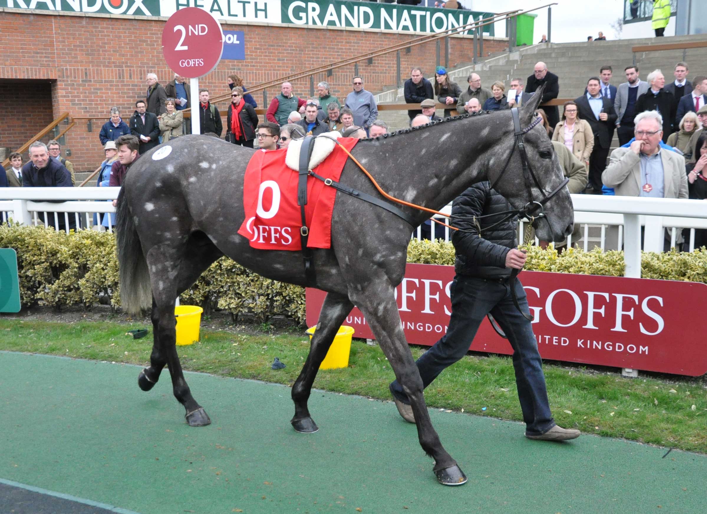 Presenting’s son, Madison To Monroe, who fetched £300,000 at last year’s Goffs UK Aintree Sale.