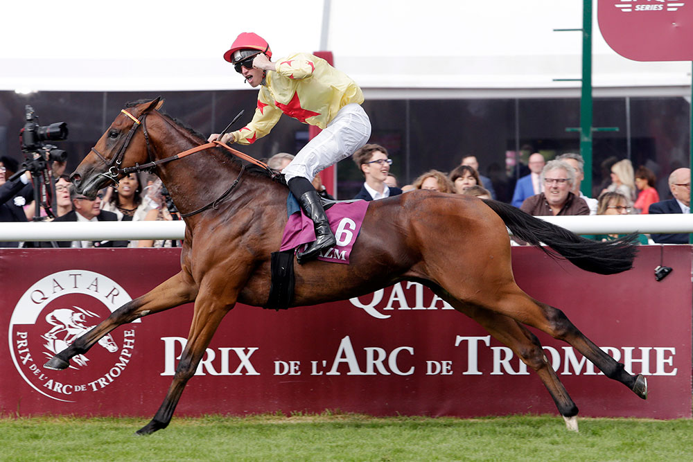 Prix Jean-Luc Lagardere winner, National Defense. The son of Invincible Spirit joins his sire at the Irish National Stud at a competitive fee of €12,000.