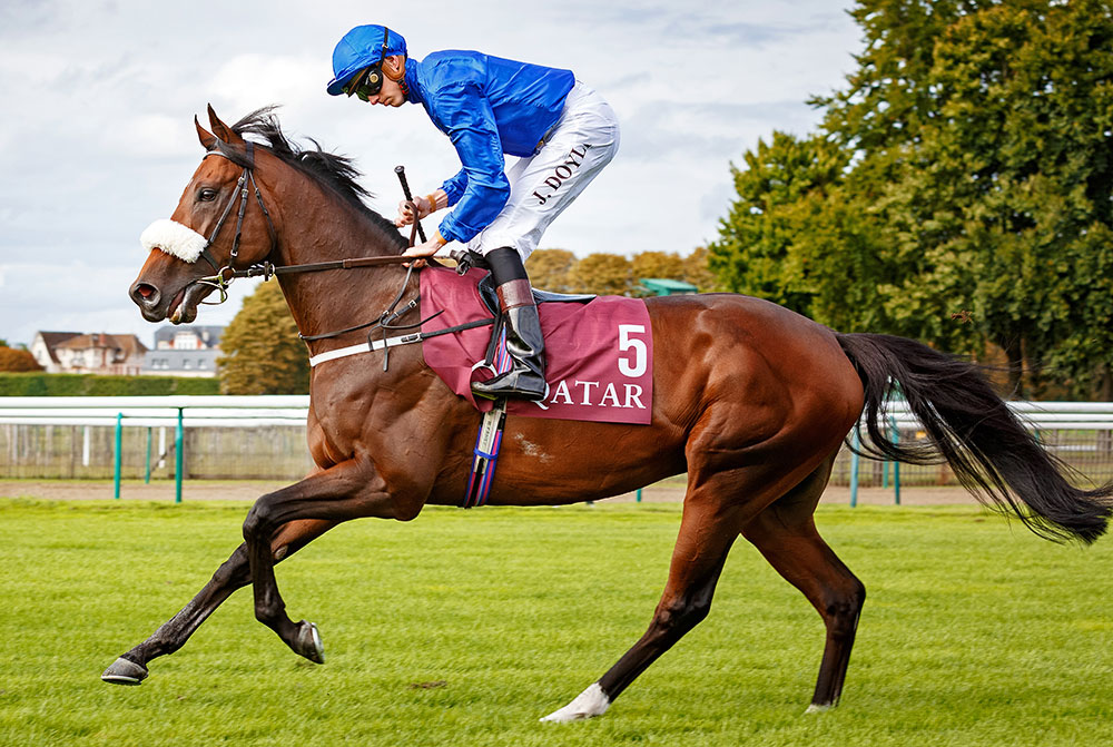 Four-time Group 1 winner and European Champion Miler Ribchester. He retires to Kildangan Stud at a fee of €30,000.