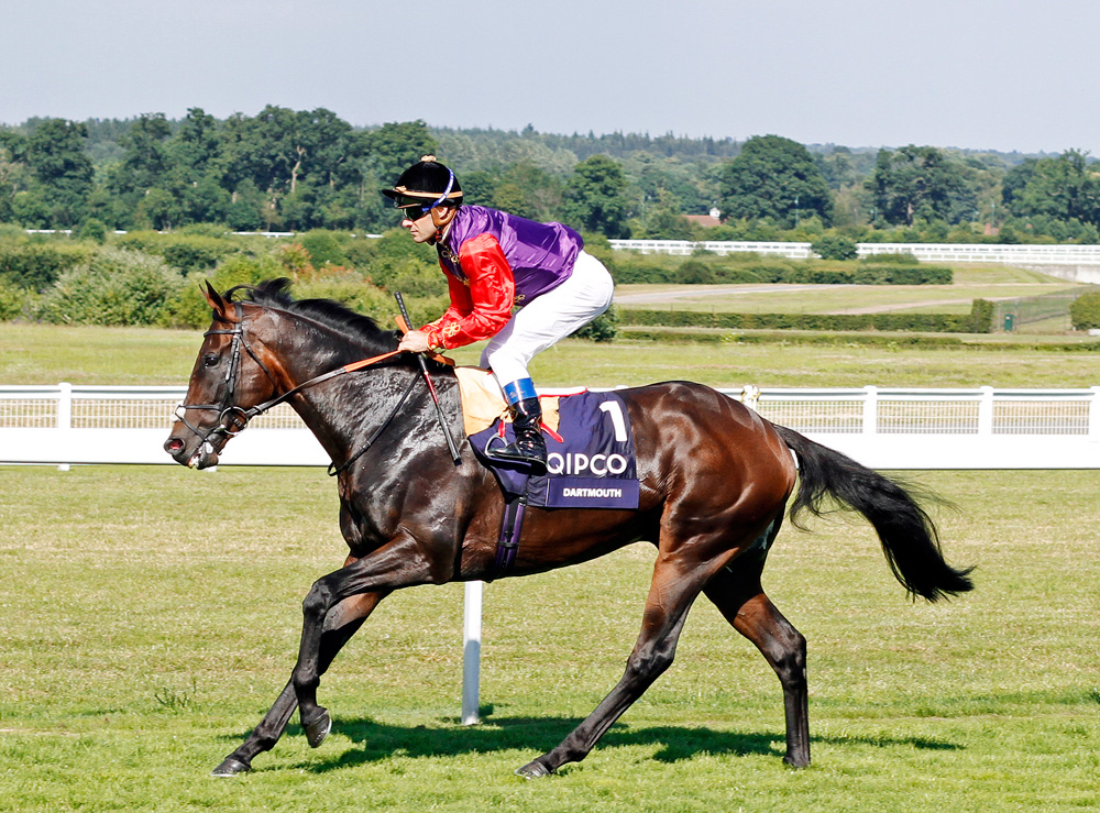 Group 2 Hardwicke Stakes winner Dartmouth, who joins the roster at Shade Oak Stud in Shropshire