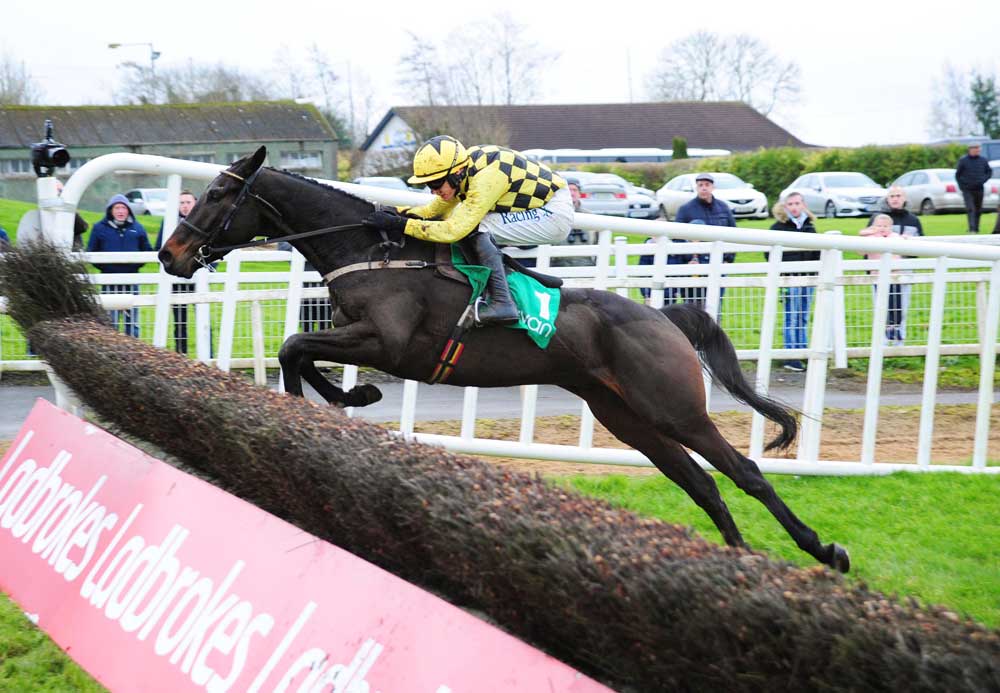 Willie Mullins’ Al Boum Photo (Buck’s Boum), who finished second to Monalee in the Grade 1 Flogas Novice Chase.