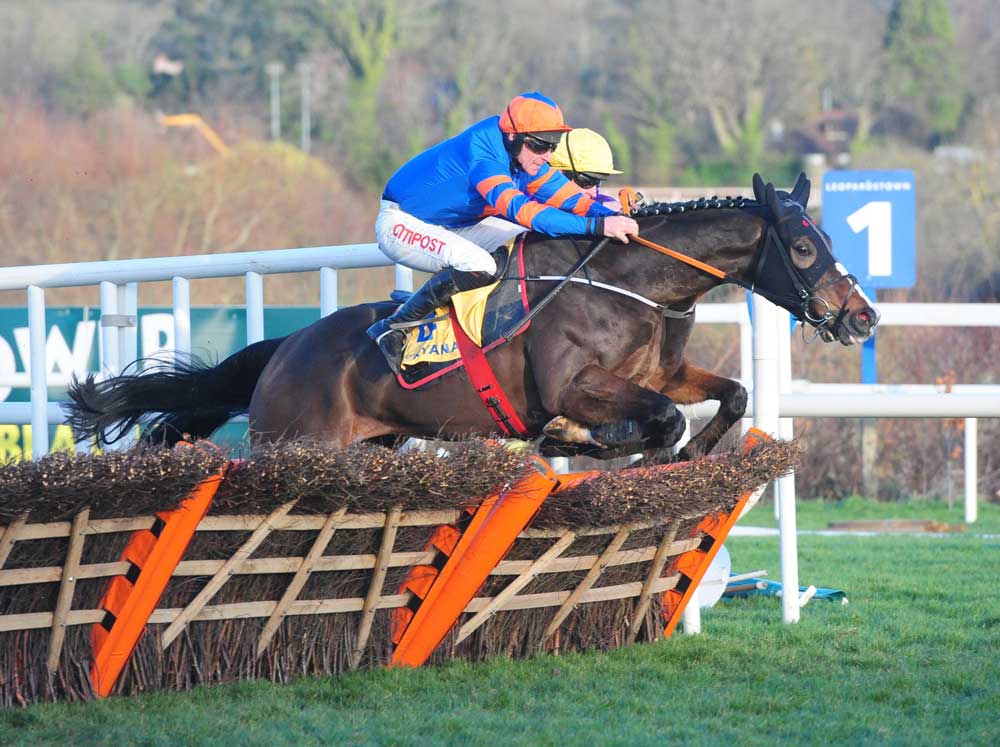 Mick Jazz (Blue Bresil), winner of the Grade 1 Ryanair Hurdle at Leopardstown.