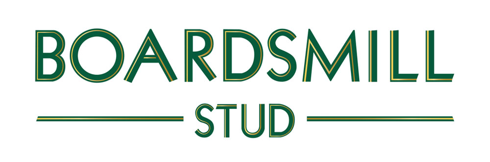 BOARDSMILL STUD