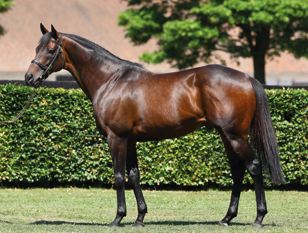 Time Test, by Dubawi, is out of the Group 1 winning mare Passage of Time.