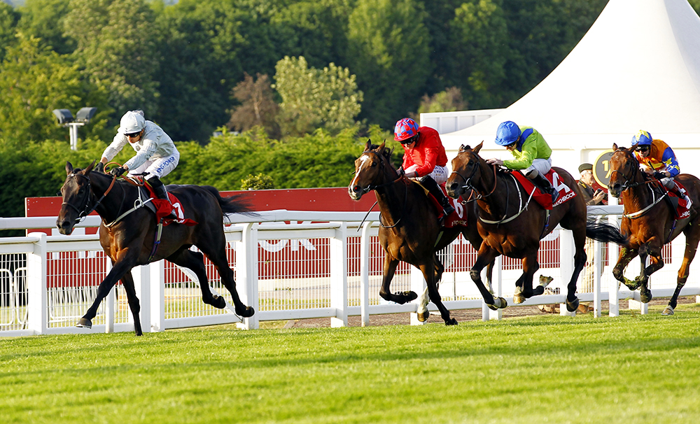 Austrian School (blue cap) is beaten less than 2 lengths by leading stayer Dee Ex Bee in the Group 3 Henry II Stakes at Sandown.