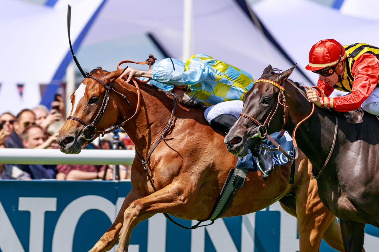 The Group 1 Longines Prix de Diane winner, Channel, was sold at the 2018 Arqana Breeze Up Sale for just €70,000.
