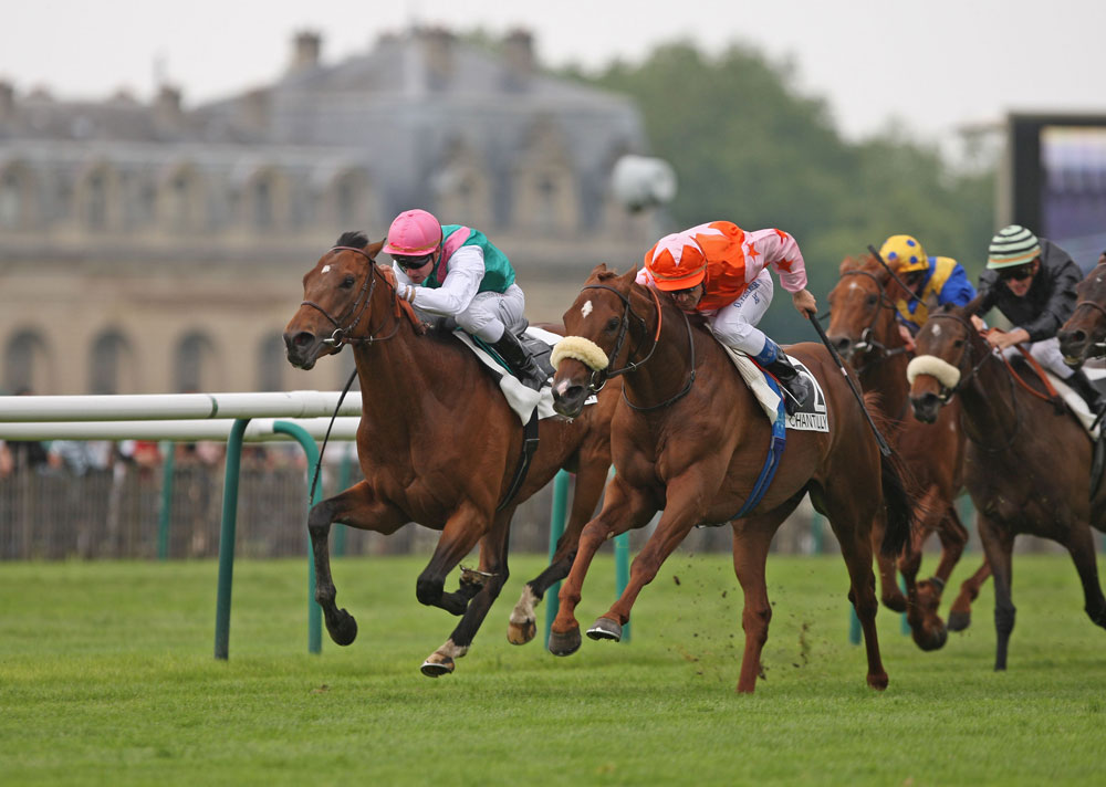 A Group 1 winner in both Hong Kong (twice) and the USA, Doctor Dino (orange colours) also won the Group 2 Grand Prix de Chantilly in his native France.