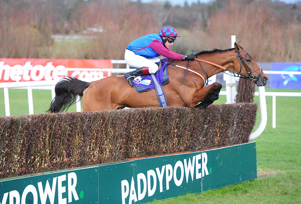 Le Bague Au Roi jumps the last on his way to victory in last year’s Grade 1 Flogas Novice Chase at Leopardstown.