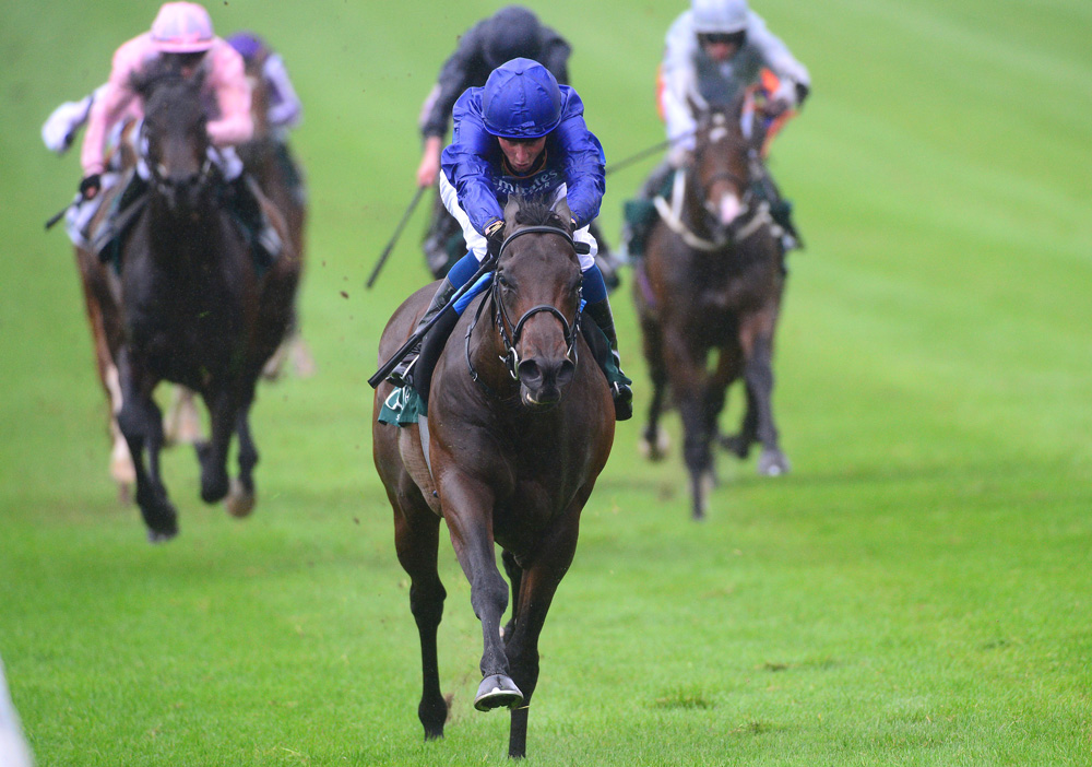 One of several strong contenders for his sire Shamardal in the Guineas, Pinatubo achieved an outstanding Timeform rating of 134 when winning the National Stakes by nine lengths at the Curragh.