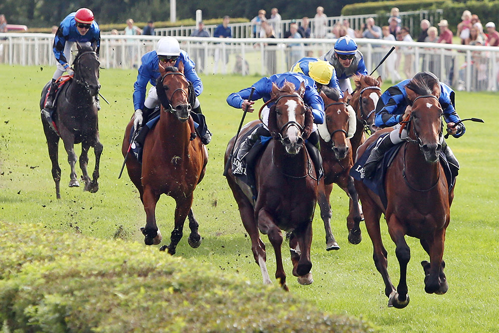 Soldier Hollow’s top-rated performer, Dschingis Secret (right), defeats the Dubai Sheema Classic and Eclipse Stakes winner Hawkbill in the Group 1 Grosser Preis von Berlin.