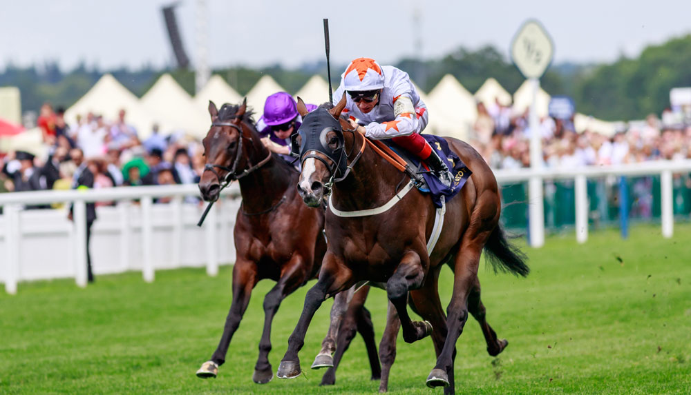 Advertise wins the Group 1 Commonwealth Cup with the filly Forever in Dreams (orange) shading Hello Youmzain for third.