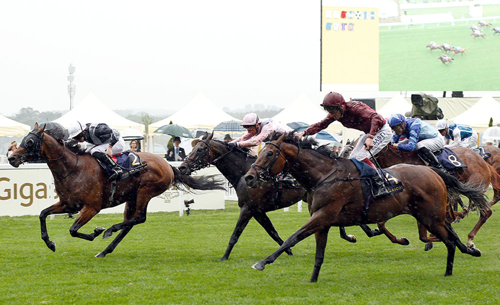 King Of Comedy finishes fastest of all to get within a neck of Circus Maximus in the Group 1 St James’s Palace Stakes, with Too Darn Hot back in third.