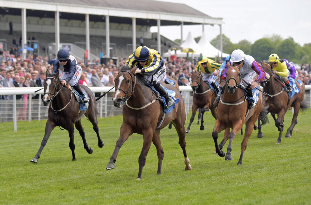 Good Vibes notches up his sire’s first Black Type success in the Marygate Fillies’ Stakes at York. She went on to finish third in the Gr.2 Lowther Stakes at the same venue.