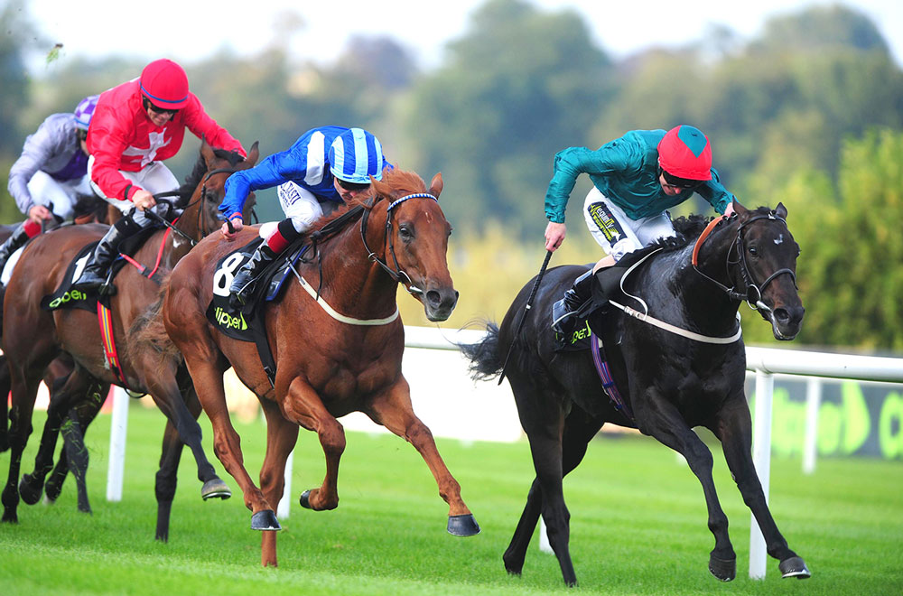 Bow Creek follows up his Group 2 success at Goodwood by beating Mustajeeb in the Group 2 Clipper Boomerang Mile at Leopardstown.