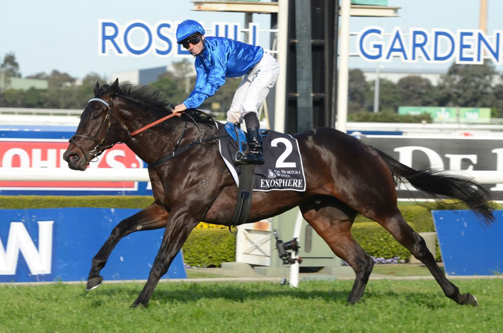 Already a Group 2 winner at two, Exosphere trained on to win the Group 1 Golden Rose Stakes over seven furlongs at three.