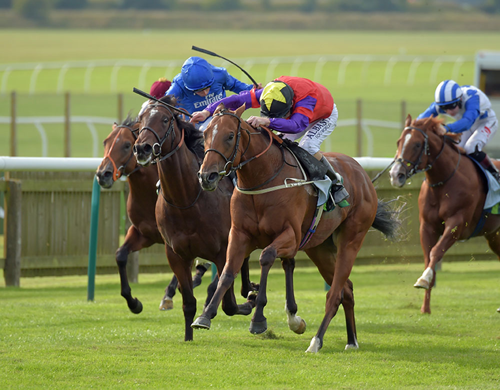 The Last Lion saves his best effort until last by defeating Blue Point and Mehmas in the Group 1 Middle Park Stakes.