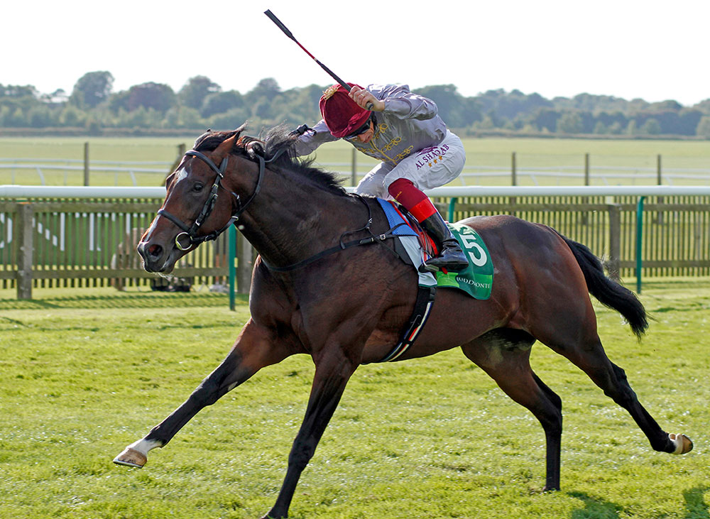 A blisteringly-fast two-year-old, Shalaa stamps his authority on the race in the Group 1 Middle Park Stakes at Newmarket.