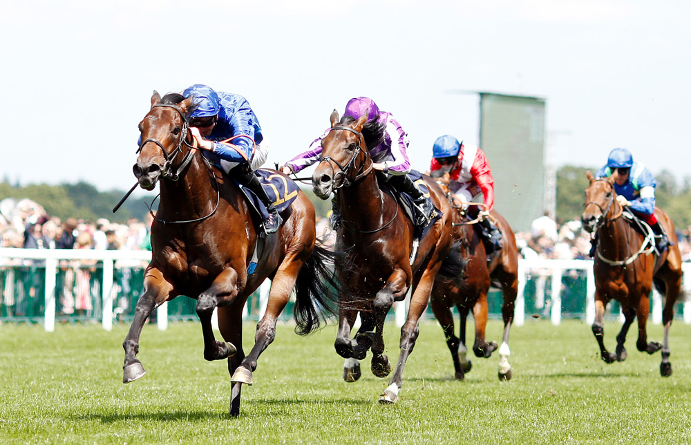 Shamardal’s son Pinatubo is currently the highest-rated 2yo following his record-breaking win in the Chesham Stakes at Royal Ascot.