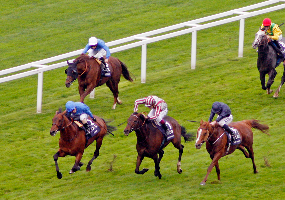 Farhh (blue colours) defeats Cirrus des Aigles and Ruler of the World in the Group 1 Champion Stakes at Ascot.