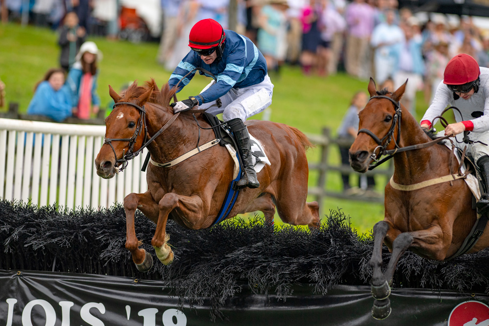 Already a winner of three hurdle races in the UK and runner up in a Grade 2, City Dreamer is pictured here winning his latest start in America, the valuable Marcellus Frost Champion Hurdle at Percy Warner Park.