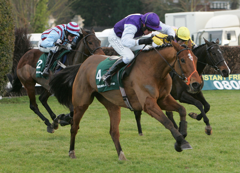 Casamento’s first book at Sunnyhill includes a half sister to the multiple Grade 1 and Cheltenham Gold Cup winner, Kicking King.