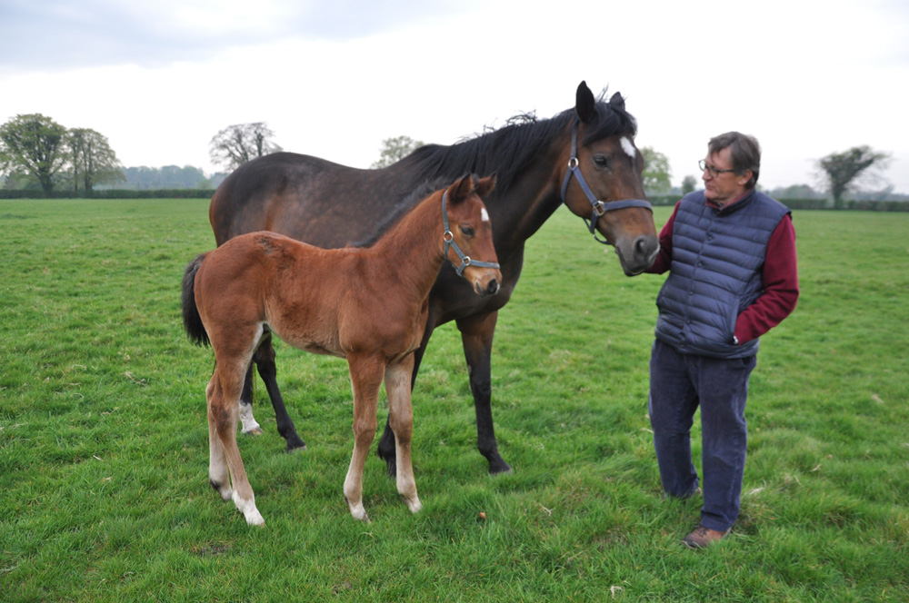 Already the dam of two multiple winners, Bank On Black is pictured here with her 2019 filly foal by Bungle Inthejungle.