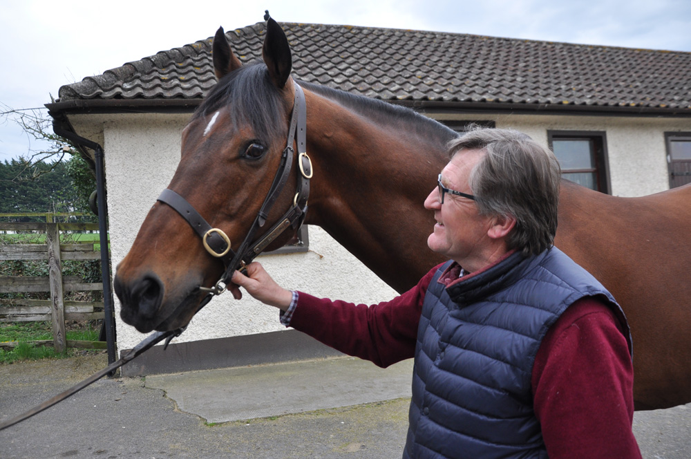 A leading first crop sire in 2018 with 27 individual winners, Bungle Inthejungle is the apple of Maurice Burns’ eye.