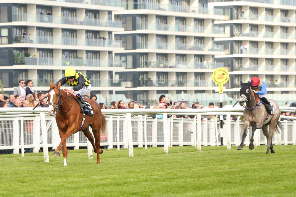 The Lope de Vega colt, Raise You was an impressive winner over a mile at Newbury and has every chance of staying further.