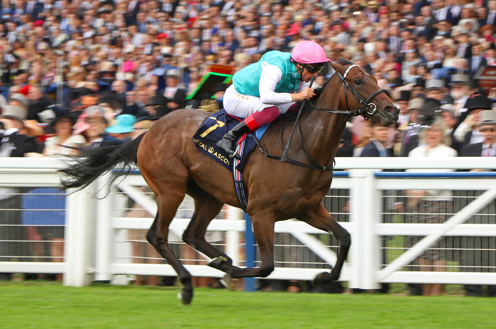 Kingman’s son Calyx is a Group 1 winner in waiting.