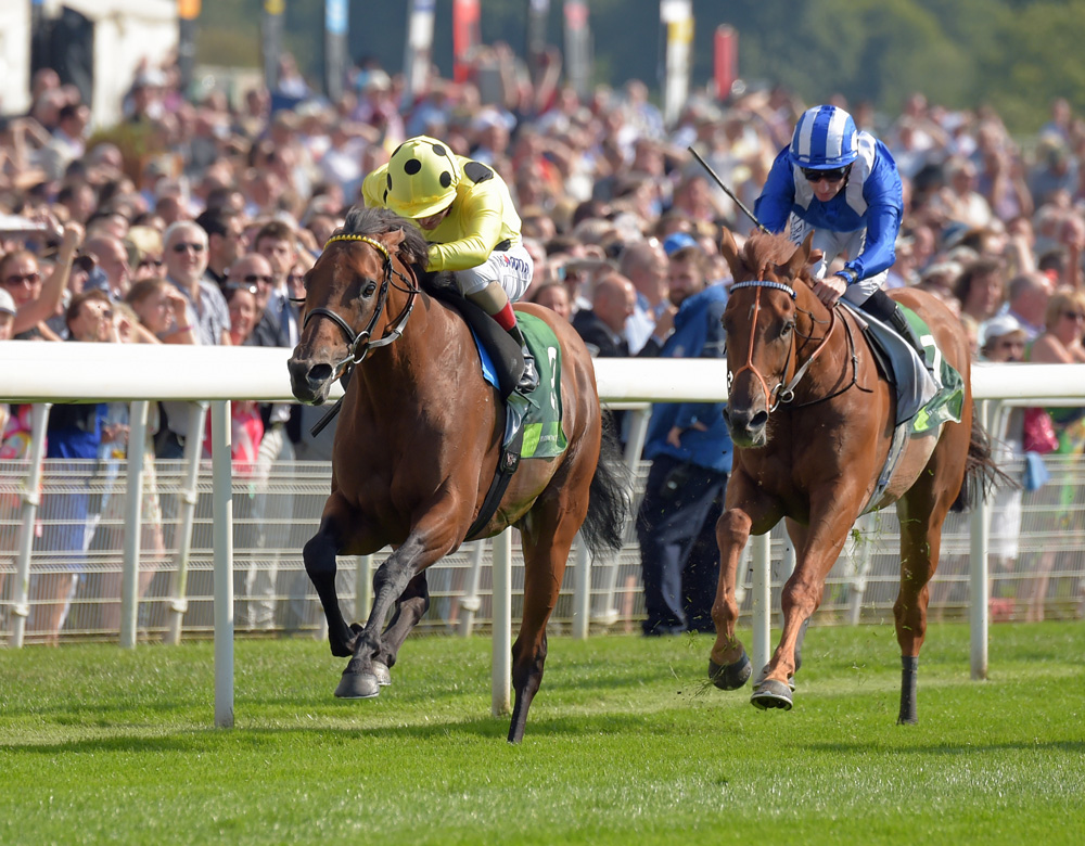 Postponed defeats a star-studded field in the Group 1 Juddmonte International Stakes.