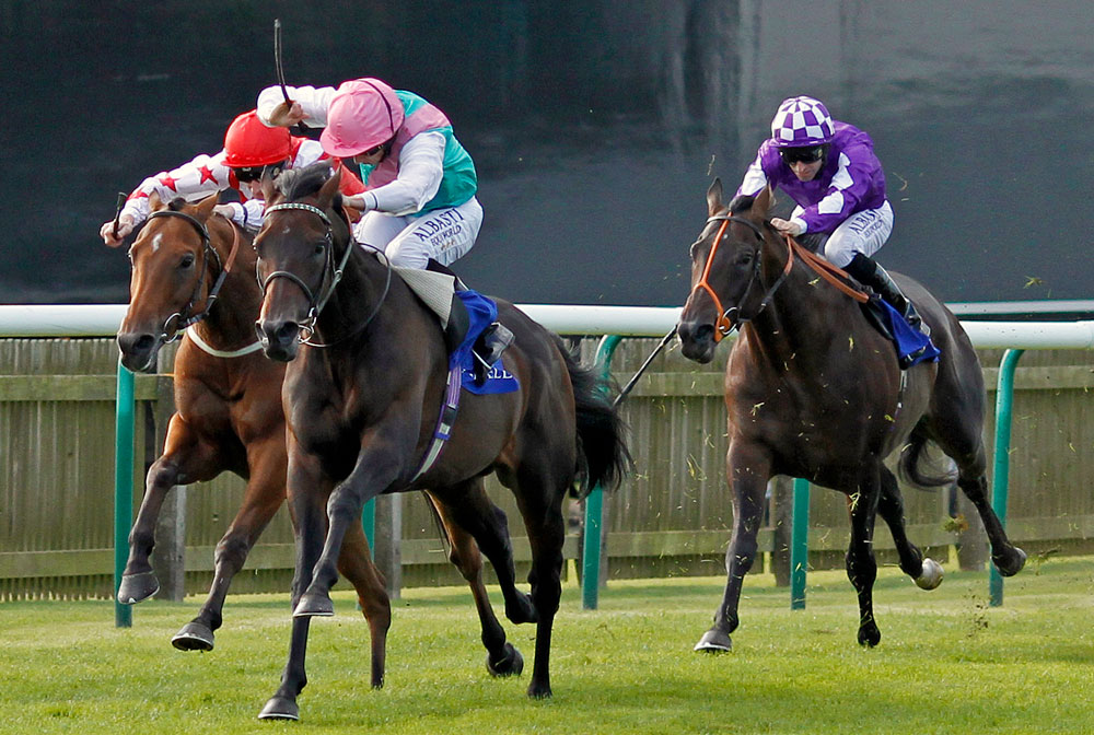 Time Test puts up an authorative display when winning the Group 2 Joel Stakes at Newmarket.