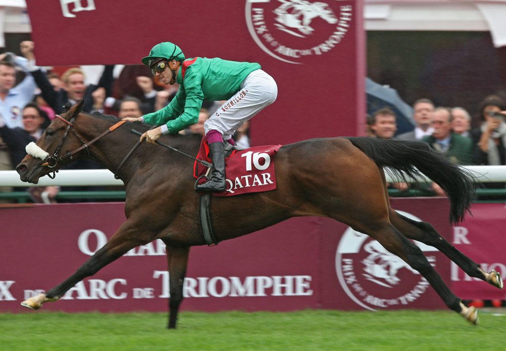 Zarak’s dam Zarkava was unbeaten in seven starts, including the Group 1 Prix de l’Arc de Triomphe.