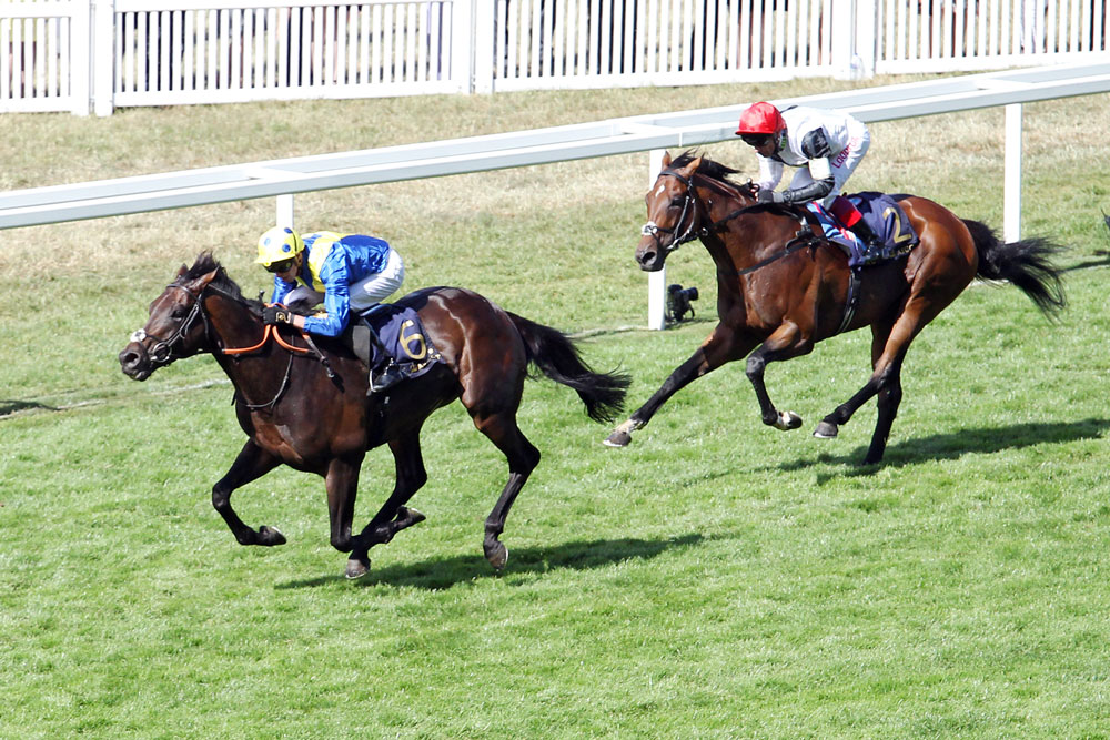 Poet’s Word becomes the only horse to defeat Cracksman this season, when winning the Group 1 Prince of Wales’s Stakes in the second fastest time since 1996.