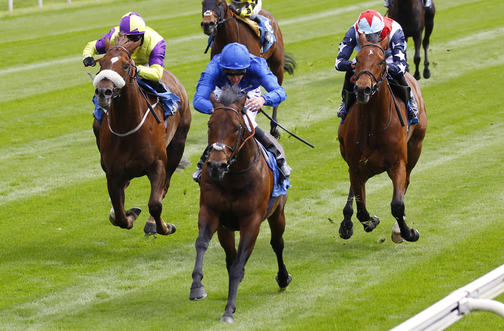 Harry Angel shrugs off a penalty to win the Duke of York Stakes, once again breaching the 130 threshold.