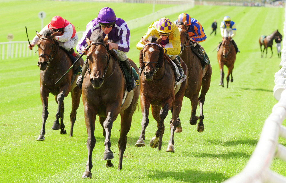 Pedro The Great wins the Group 1 Keeneland Phoenix Stakes at the Curragh.