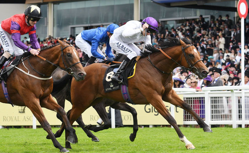 Kodiac’s son Prince of Lir, who was sold for £170,000 at the Goffs UK Doncaster Breeze-Up Sale in 2016, wins the Group 2 Norfolk Stakes at Royal Ascot.