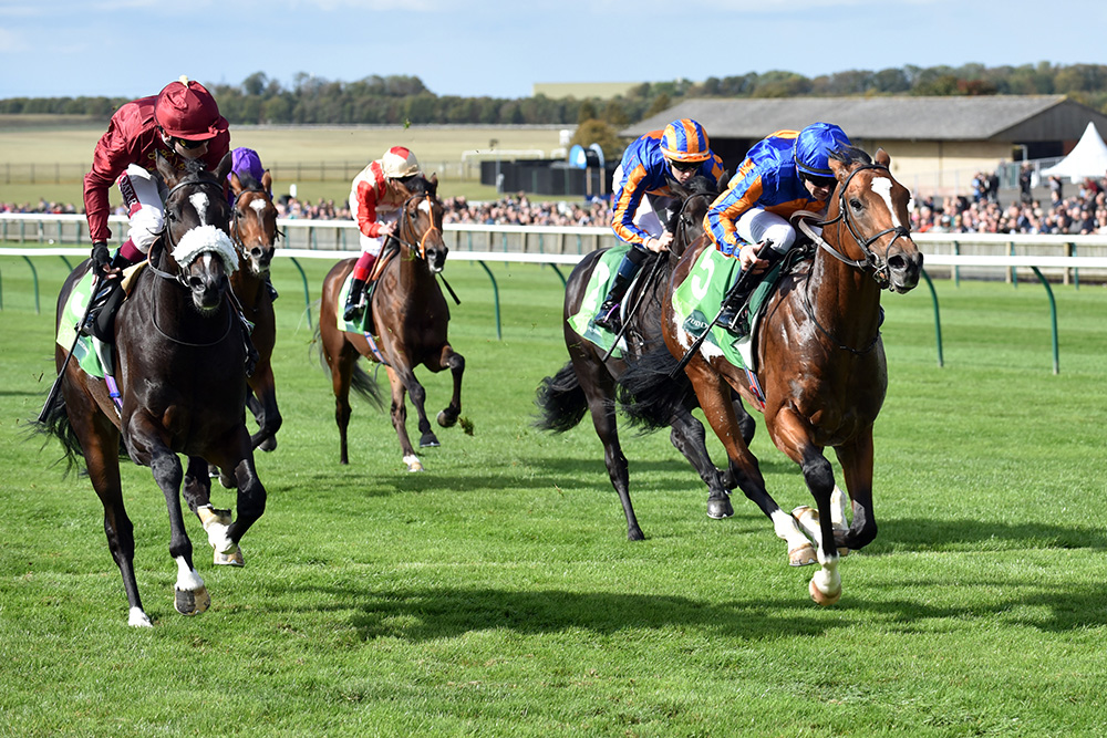 Royal Dornoch (right) beats Kameko in the Group 2 Royal Lodge Stakes at Newmarke