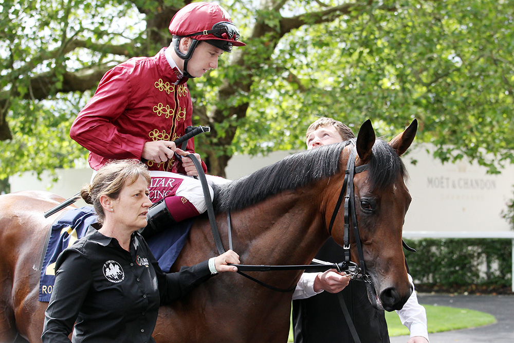 Charm Spirit’s son Air Force Jet was rated 103 by Timeform as a juvenile last year