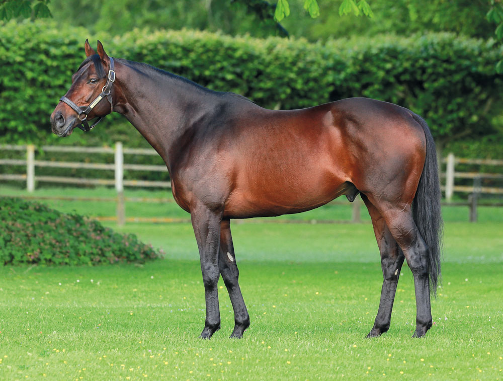 The triple Group 1 winner Almanzor, who stands alongside his sire at Haras d'Etreham, has his first yearlings in 2020.