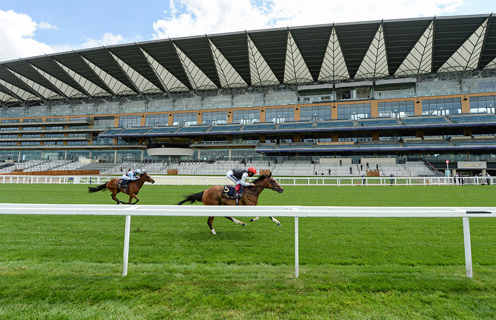 Frankly Darling defeated Ennistymon convincingly in front of near empty stands at Royal Ascot, but the latter could surprise if the Oaks were to turn into a stronger test of stamina.