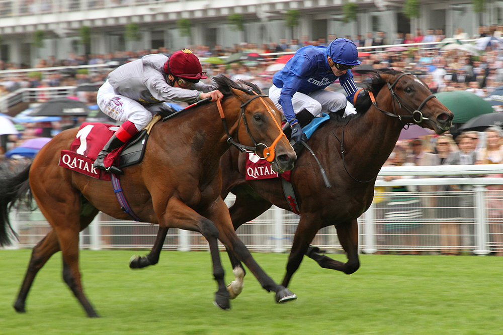 Mehmas defeats the subsequent Champion Sprinter Blue Point in the Group 2 Qatar Richmond Stakes.