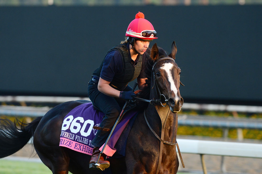 Mohaather’s full sister Prize Exhibit, seen here prior to finishing fourth in the Breeders’ Cup Juvenile Fillies Turf at Santa Anita, went on to record two Grade 2 victories in America.