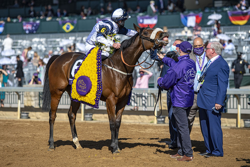 Having the last laugh: Glass Slippers is welcomed by her owner Terry Holdcroft (right), after her superb victory in the Grade 1 Breeders’ Cup Turf Sprint.