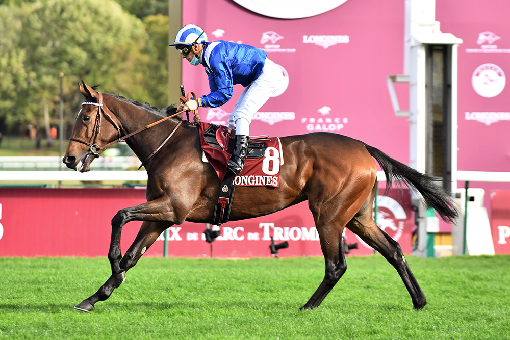 Tawkeel, winner of the Group 1 Prix Saint Alary, is an example of the successful Teofilo/Oasis Dream cross