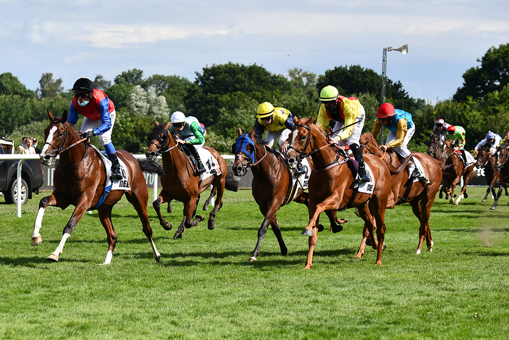 Adlerflug’s son In Swoop wins the Group 1 Deutsches Derby, prior to finishing runner-up in both the Group 1 Grand Prix de Paris and Group 1 Prix de l’Arc de Triomphe